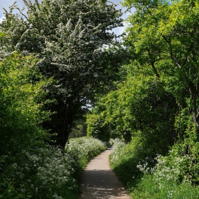 Artist Photo Series: Lisa Brown: River Ribble Path from Walton-Le-Dale