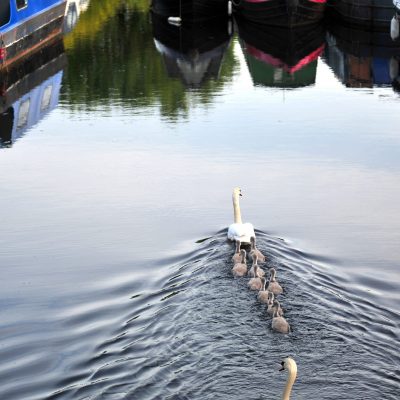 Artist Photo Series: Donna Clifford: Returning Home Barges Home